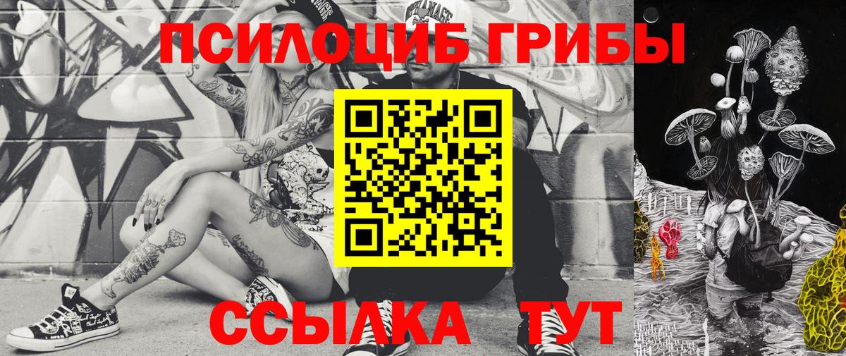 Псилоцибиновые грибы прущие грибы Ульяновск